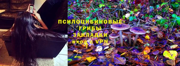 индика Навашино