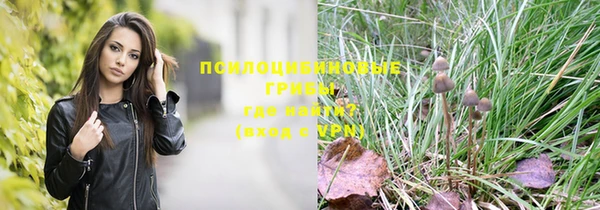 apvp Нея