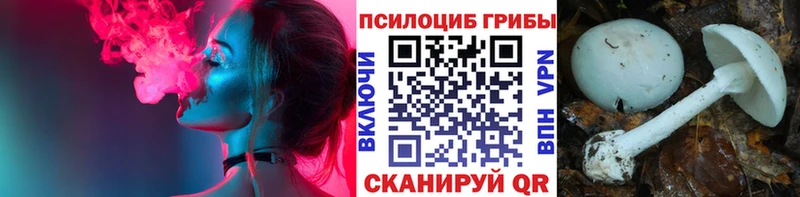Псилоцибиновые грибы GOLDEN TEACHER  Краснослободск 